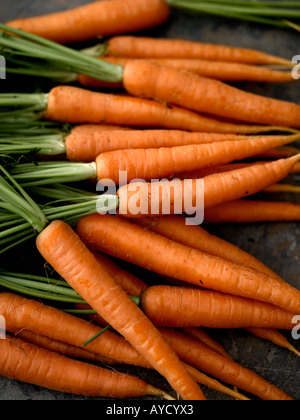Les carottes avec les tiges et les feuilles - haut de gamme image numérique Hasselblad 61Mo Banque D'Images