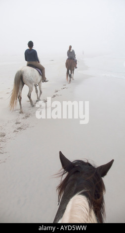 Équitation par mauvais temps sur la plage de Noordhoek près de Cape Town, Cap de Good Hope, Afrique du Sud. Banque D'Images