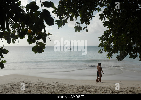 L'un des mondes de grandes plages Anso / Anse Lazio sur l'île de Praslin aux Seychelles. Banque D'Images