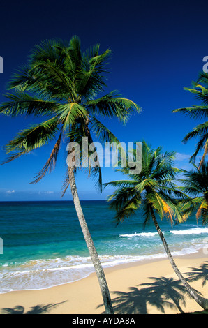 République dominicaine au-dessus de la plage de Playa Grande, sur la côte nord Banque D'Images