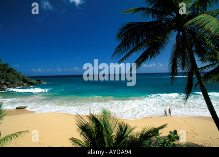 République dominicaine plage Playa Grande Banque D'Images