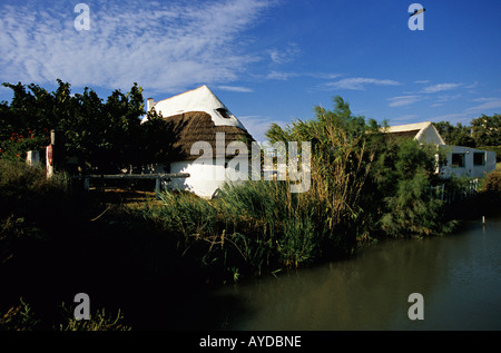 Gardian cabanes à Saintes Maries de la Mer France Banque D'Images