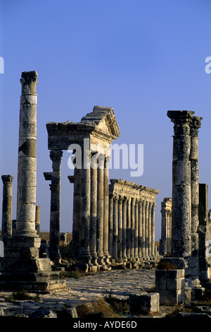 Apamée de Syrie Banque D'Images