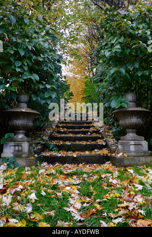 En pierre le long escalier couvert de feuilles avec la renouée japonaise Polygonum cuspidatum en Ontario Banque D'Images