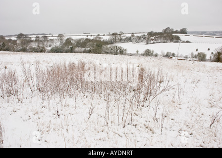 Neige dans les collines de Chiltern, Buckinghamshire, Angleterre Banque D'Images