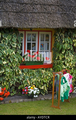 Chaumière Store Village d'Adare County Limerick Irlande Banque D'Images