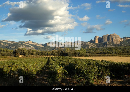 Les Roques d'en Benet, Ports de Beseit National Park.Horta de Sant Joan .Terra Alta région, province de Tarragone . Espagne Banque D'Images