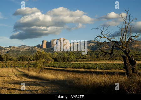 Les Roques d'en Benet, Ports de Beseit National Park.Horta de Sant Joan .Terra Alta région, province de Tarragone . Espagne Banque D'Images