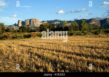 Les Roques d'en Benet Ports de Beseit Parc National. Horta de Sant Joan .Terra Alta,région province de Tarragone. Espagne Banque D'Images