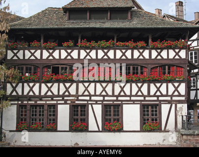 MAISON DES TANNEURS TANNER' maison à colombages datant 1572 PETITE FRANCE STRASBOURG ALSACE FRANCE Banque D'Images