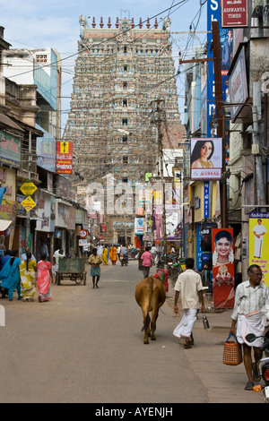 Scène de rue et le Gopuram à Sree Meenakshi Temple Hindou à Madurai Inde du Sud Banque D'Images