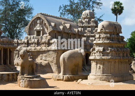 Cinq Rathas à Mamallapuram Inde du Sud Banque D'Images