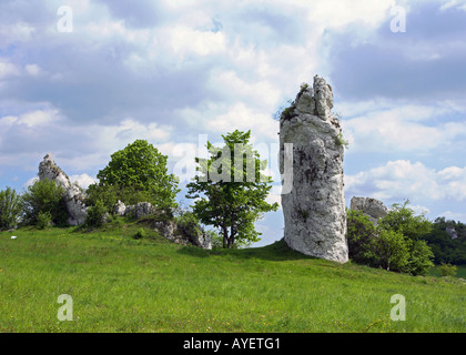 Les roches calcaires du Jura en Krakow-Czestochowa Pologne Banque D'Images