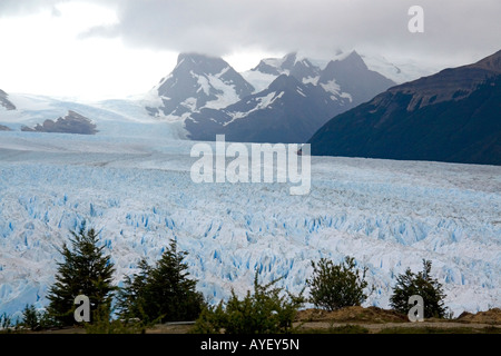 Le Glacier Perito Moreno situé dans le Parc National Los Glaciares en Patagonie argentine Banque D'Images