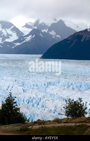 Le Glacier Perito Moreno situé dans le Parc National Los Glaciares en Patagonie argentine Banque D'Images