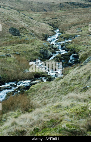 Tarn rouge Beck Banque D'Images