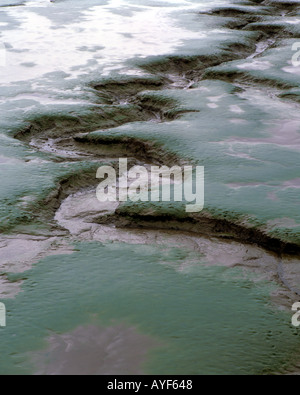 Thames Estuary boue London United Kingdom Banque D'Images