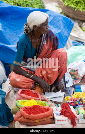 Portrait d'un commerçant du marché de l'Inde vente de poudre de couleur Banque D'Images