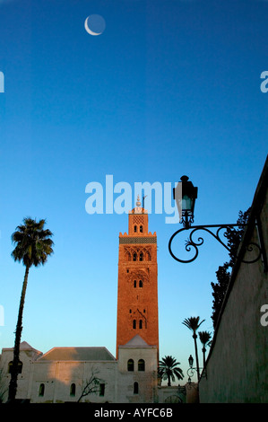 Tôt le matin de la mosquée Koutoubia et la mosquée avec des lumières de rue au Maroc Marrakech silouette Banque D'Images