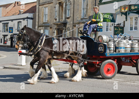 Deux lourds chevaux Shire tirer une bière dray autour de Devizes offrant de la bière locale à des DCI Banque D'Images