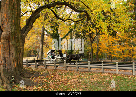 La Calèche dans Central Park, New York City Banque D'Images