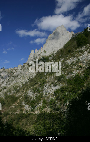 Le Desfiladero de los Beyos dans les Picos de Europa, en Espagne. L'Europe est le plus étroit de la gorge basique Banque D'Images