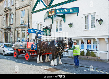 Deux lourds chevaux Shire tirer une bière dray autour de Devizes offrant de la bière locale à des DCI Banque D'Images