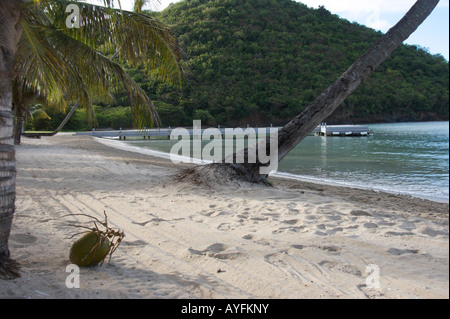 Une scène de plage des Caraïbes Banque D'Images