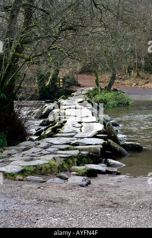 Tarr Étapes préhistoriques mégalithiques Clapper Bridge, Angleterre Somerset Banque D'Images