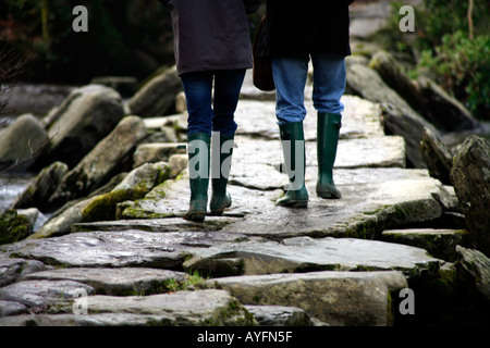 Tarr Étapes préhistoriques mégalithiques Clapper Bridge, Angleterre Somerset Banque D'Images