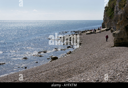 Plage de galets Beer Devon, Angleterre Banque D'Images