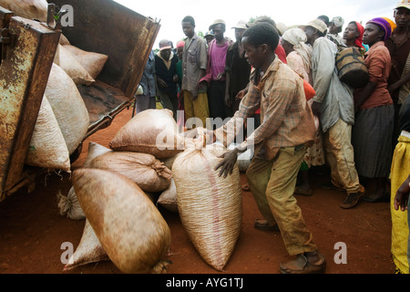 Afrique Kenya Ruira Pickers trier des sacs de grains de café Arabica récoltés sur Socfinaf coffee plantation en dehors de Nairobi Banque D'Images