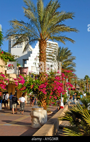Eilat , vue de l'Est ou de promenade du nord & l'hôtel isrotel royal beach hotel & people walking Banque D'Images