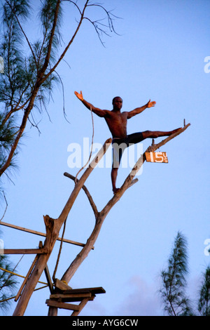 La Jamaïque Negril Ricks Cafe Cliff Diver sautant d'un arbre Banque D'Images