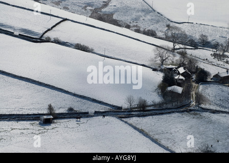 Maison de ferme et les chevaux dans le champ couvert de neige vue de nez Teggs Coutry Park Macclesfield Cheshire UK 2008 Banque D'Images