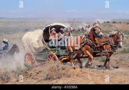 La souche de chevaux pour tirer chariot couvert dans le Montana wagon train Banque D'Images