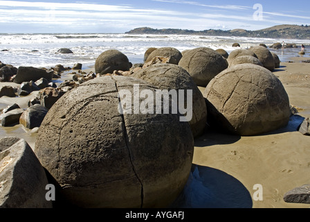 Les Moeraki Boulders sur la côte pacifique de l'île du sud de la Nouvelle-Zélande Banque D'Images