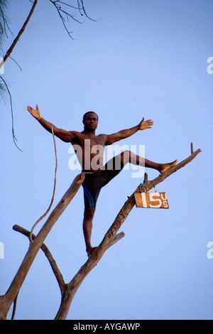 La Jamaïque Negril Ricks Cafe Cliff Diver sautant d'un arbre Banque D'Images