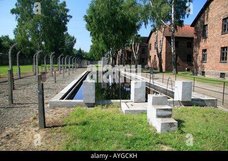 La "piscine" et l'incendie réservoir à l'ancien camp de concentration Nazi à Auschwitz, Oswiecim, Pologne. Banque D'Images