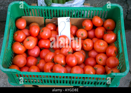 Farmer's Market montrant les tomates ou pomidores en Pologne. Warszawa Pologne Banque D'Images