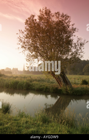 Brume matinale sur la rivière Windrush dans la région des Cotswolds près de Burford Banque D'Images