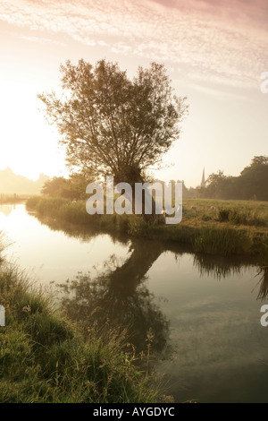 Brume matinale sur la rivière Windrush dans la région des Cotswolds près de Burford Banque D'Images