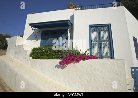 Accueil blanchis avec garniture bleue et lilas bougainvillea village Sidi Bou Said Tunisie