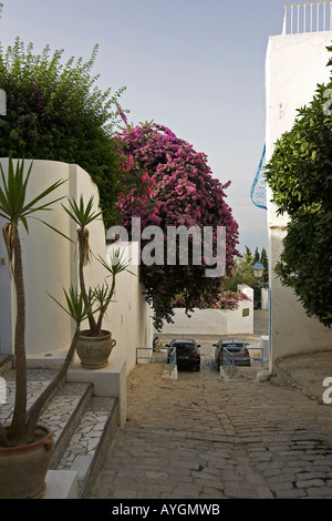 Rue pavées étroites Sidi Bou Said Tunisie village Banque D'Images