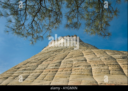 Mesa en damier, Zion National Park, Utah Banque D'Images