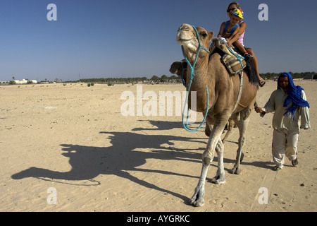 Randonnée chamelière dans le désert du Sahara, près de Douz Tunisie Banque D'Images