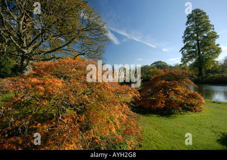 Les jardins de Wakehurst Place, West Sussex, à l'automne. Banque D'Images