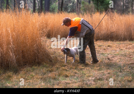 Retrait des armes de chasse de caille chiens bouche USA Banque D'Images