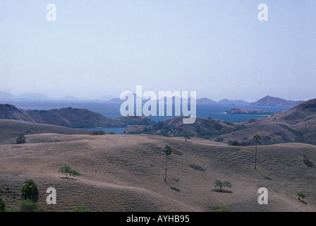 Rinca island au large de Flores Nusa Tengarra dragons de Komodo vivent ici, ainsi que sur l'île voisine du même nom en Indonésie Banque D'Images