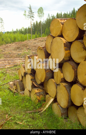 Grumes d'arbres empilés près de Torsby dans le comté de Värmland Suède Banque D'Images